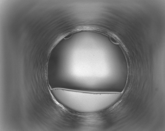 X0000059221433200510140747