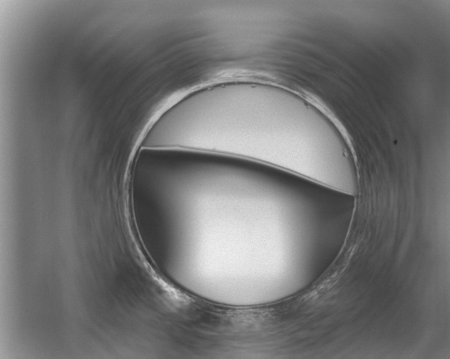 X0000059221437200510140747