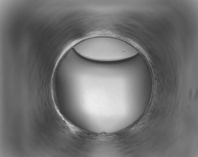 X0000059221440200510140747