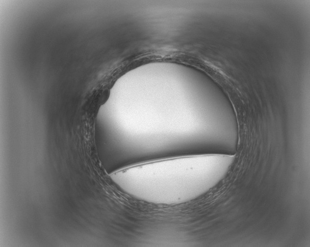 X0000059221447200510140747