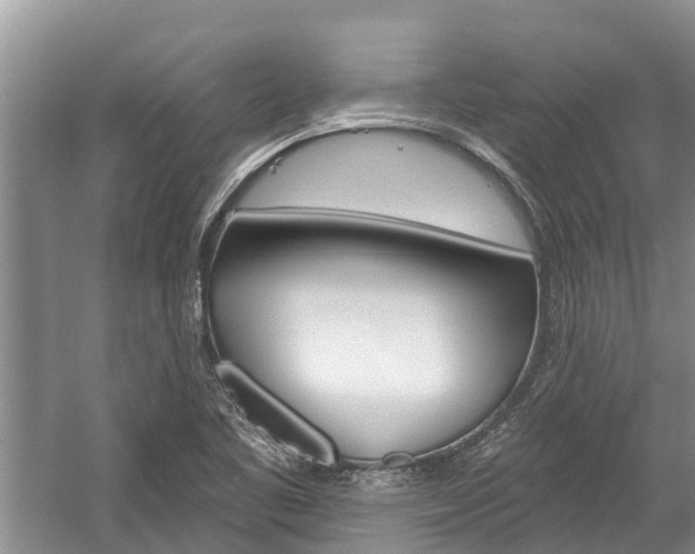 X0000059221461200510140746