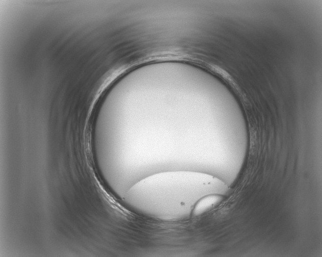 X0000059221466200510140746