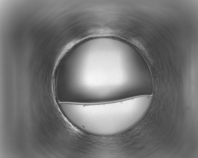 X0000059221472200510140746