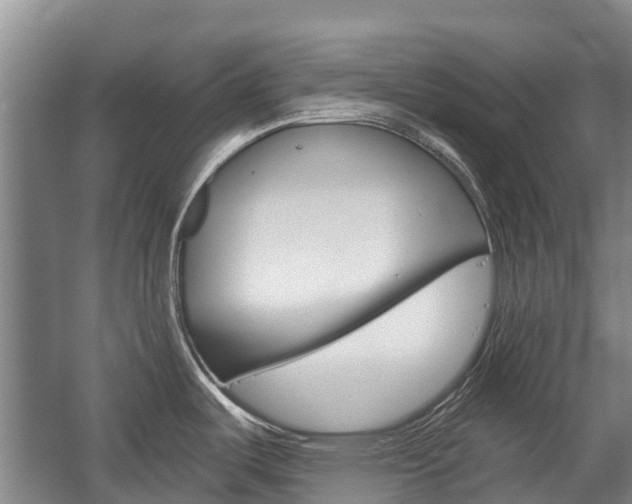 X0000059221487200510140746