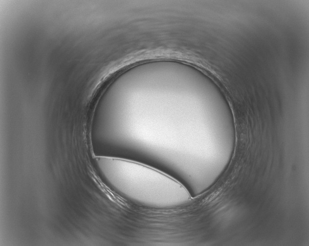 X0000059221499200510140745