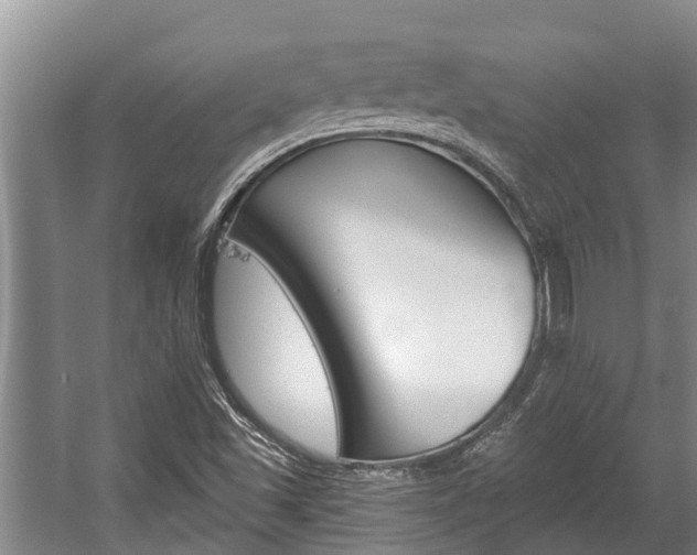 X0000059221501200510140745