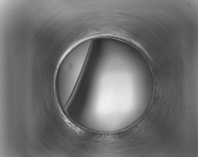 X0000059221516200510140745