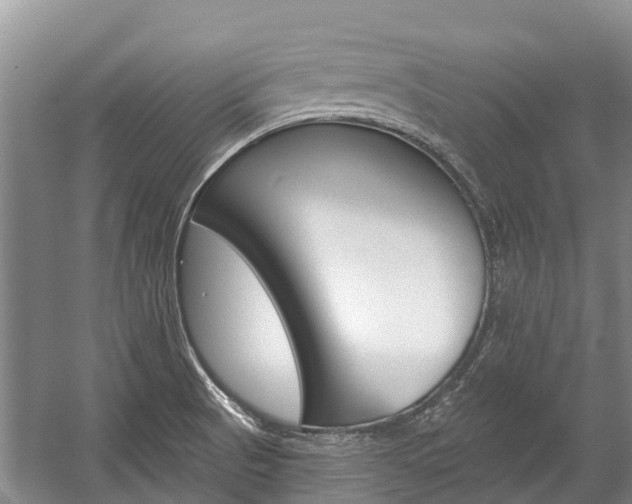 X0000059221521200510140746