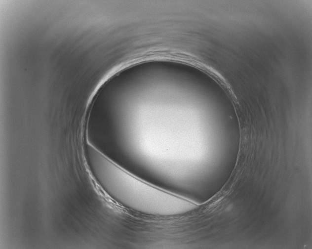 X0000059221530200510140746