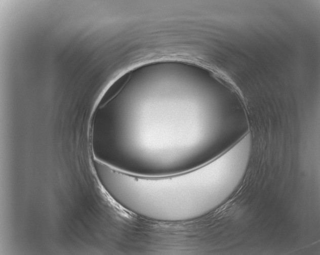 X0000059221532200510140746