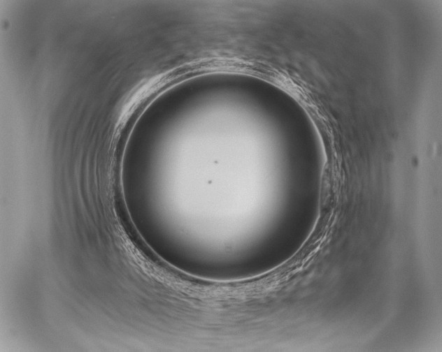 X0000059220007200510141024