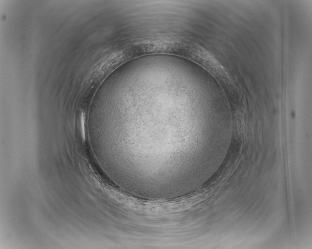 X0000059220022200510141024