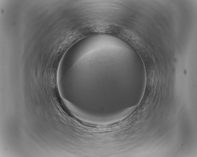 X0000059220031200510141023