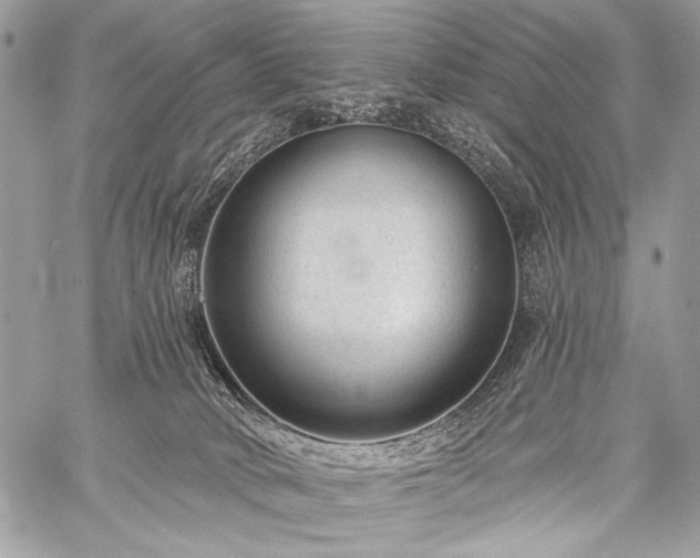 X0000059220034200510141023