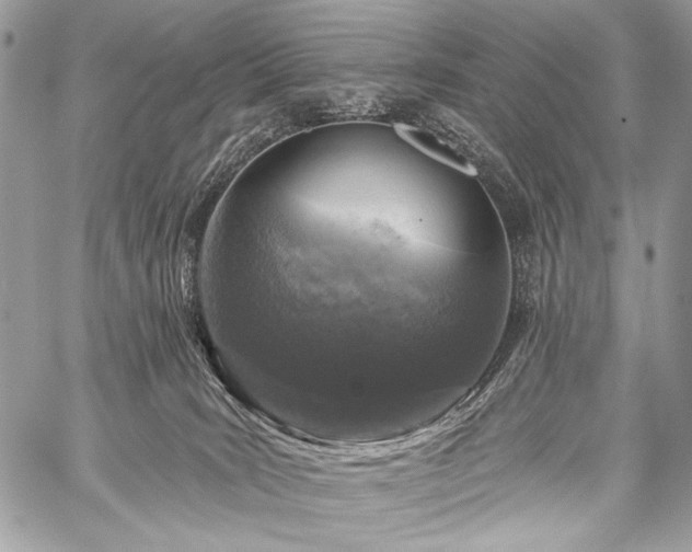 X0000059220035200510141023