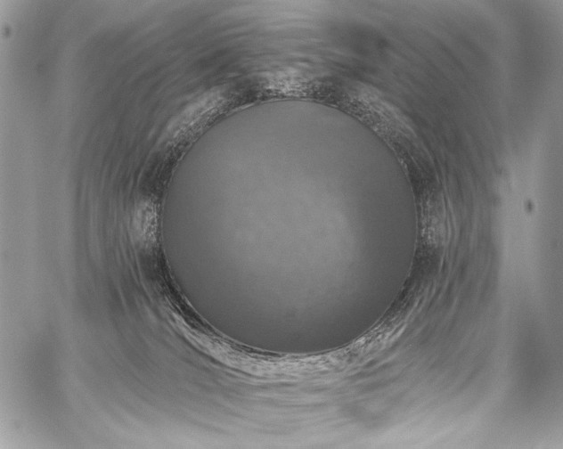 X0000059220036200510141023