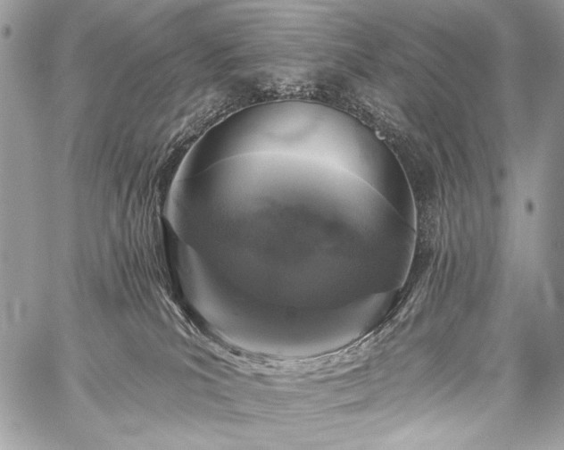 X0000059220039200510141023
