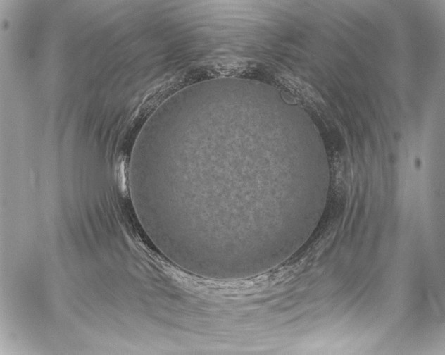 X0000059220042200510141023