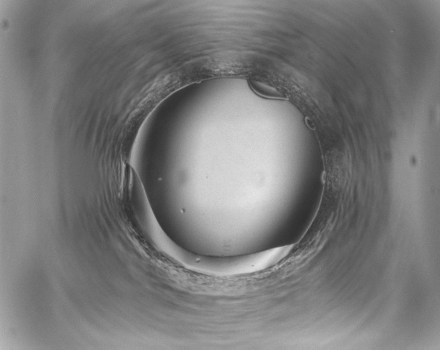 X0000059220044200510141023