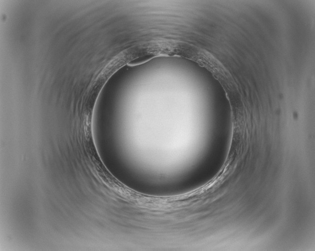 X0000059220045200510141023