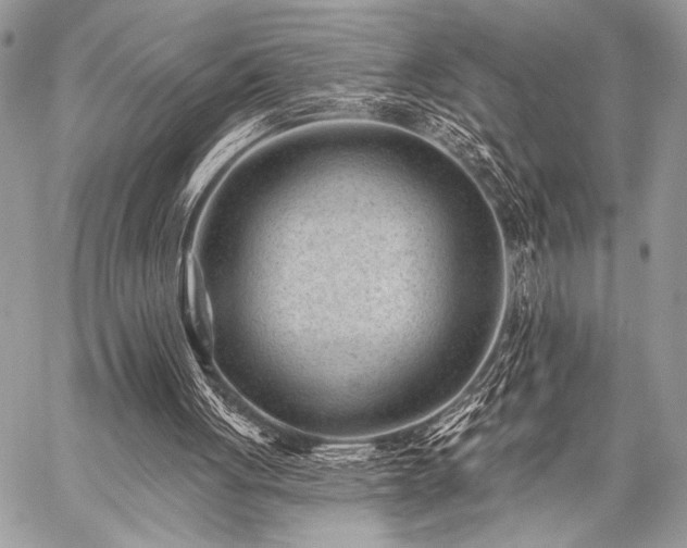 X0000059220051200510141022