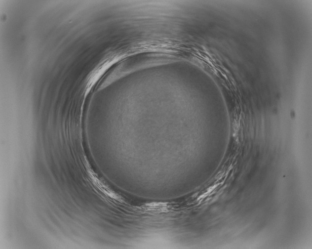 X0000059220052200510141022