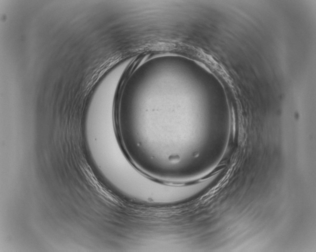 X0000059220057200510141022