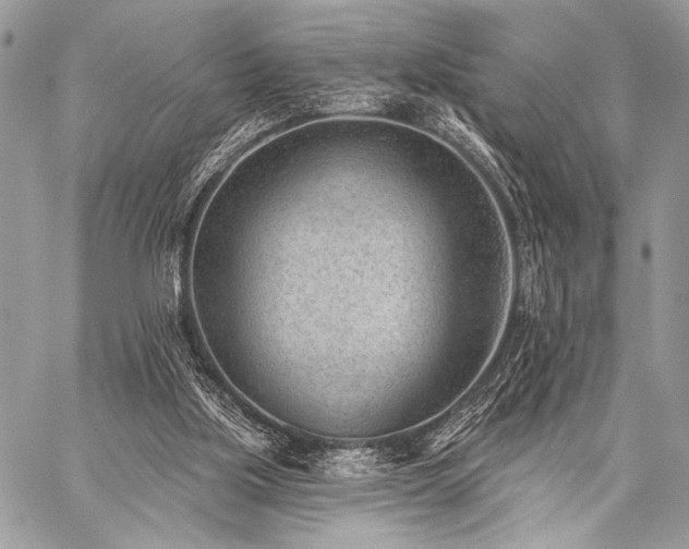 X0000059220059200510141023