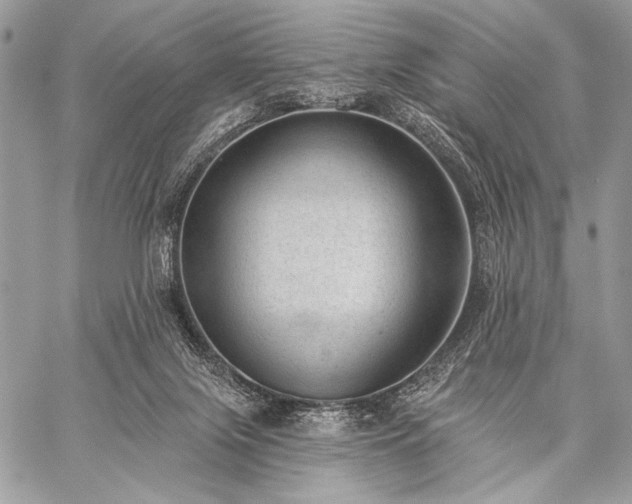 X0000059220071200510141023
