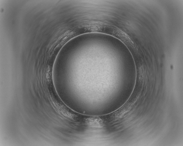 X0000059220073200510141023