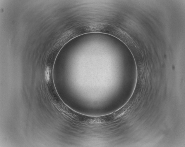 X0000059220075200510141023
