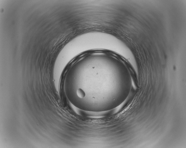 X0000059220078200510141023