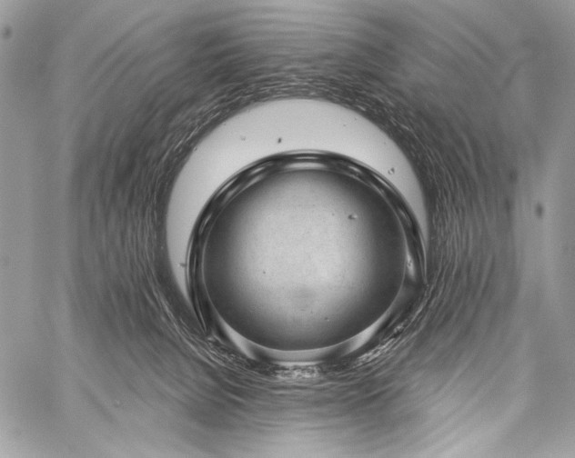 X0000059220080200510141023