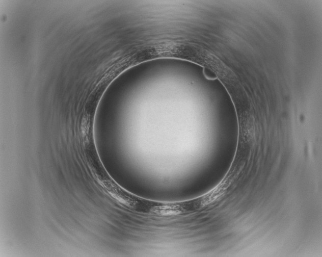 X0000059220082200510141023