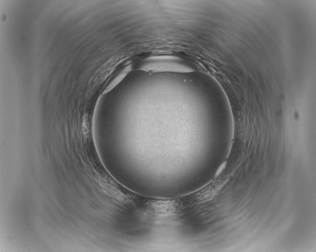 X0000059220085200510141023