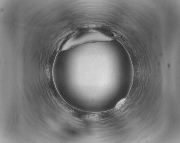 X0000059220086200510141023