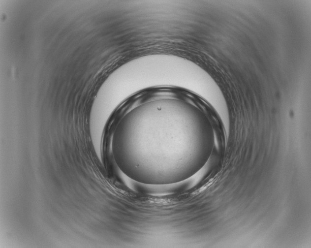 X0000059220091200510141023