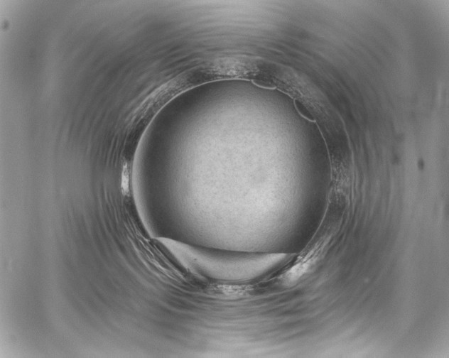 X0000059220095200510141023