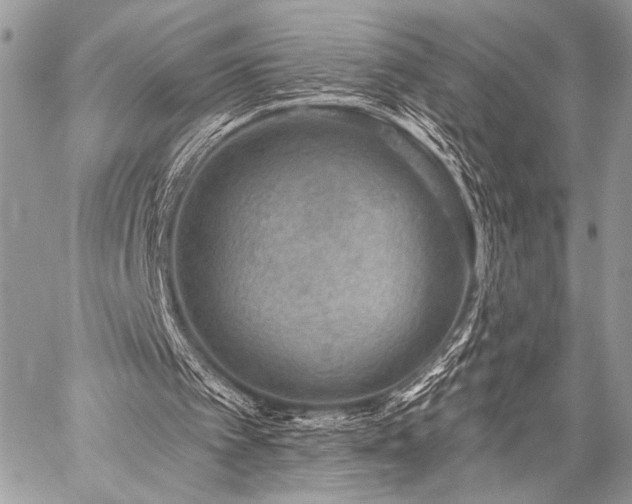 X0000059220097200510141022