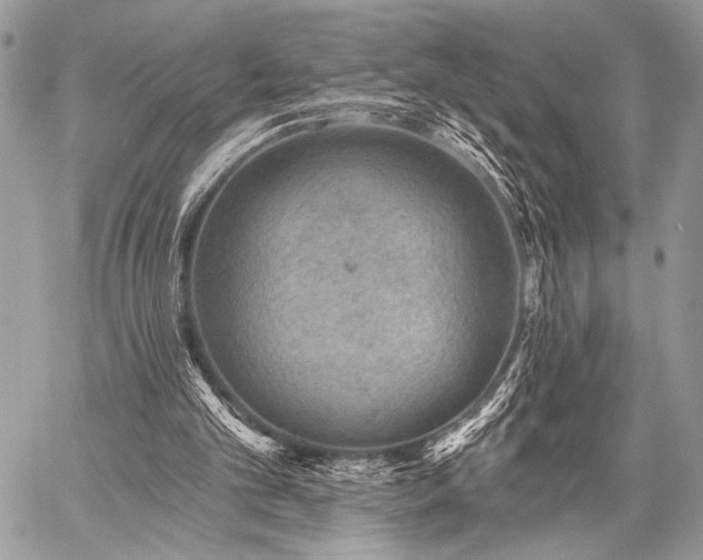 X0000059220101200510141022