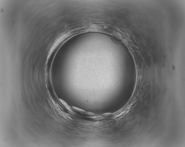 X0000059220102200510141022