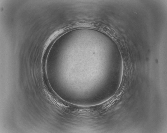 X0000059220104200510141022