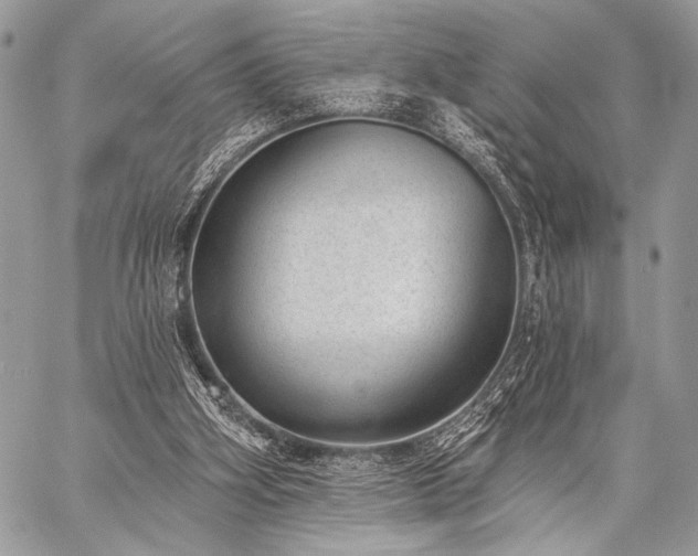 X0000059220106200510141022