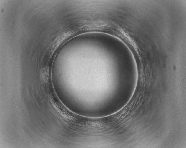 X0000059220107200510141022