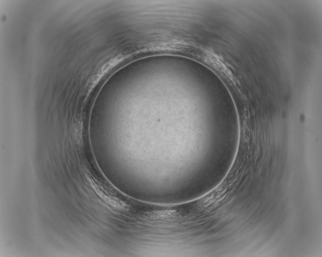 X0000059220108200510141022