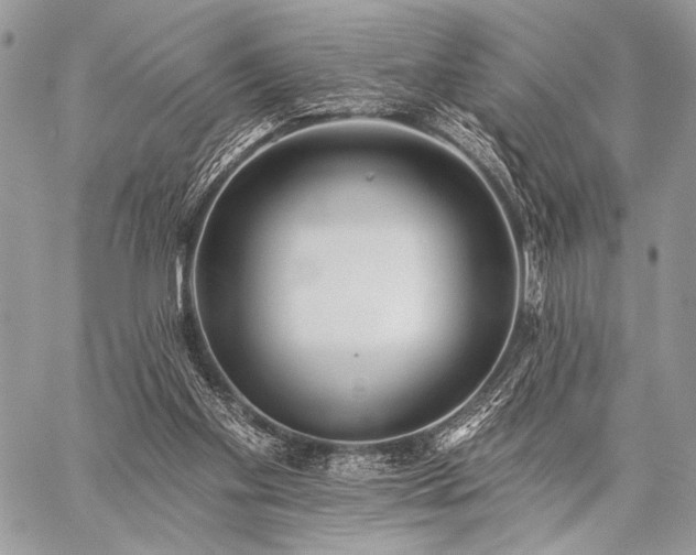 X0000059220109200510141022