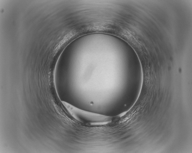 X0000059220111200510141022