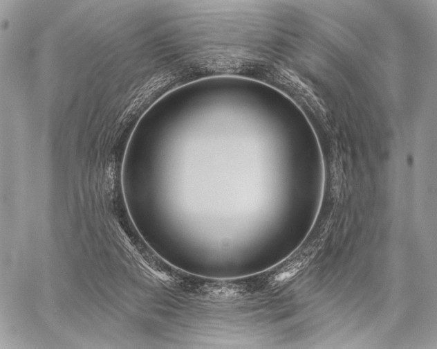 X0000059220113200510141022