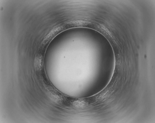 X0000059220119200510141022