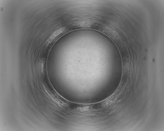 X0000059220120200510141022